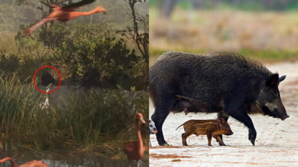 Gamer identifikasi hewan gta 6 yang muncul di trailer